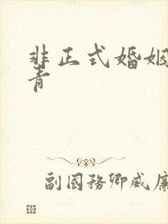 非正式婚姻雾里青封面