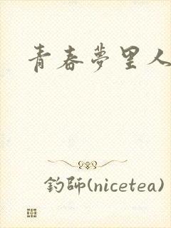 青春梦里人