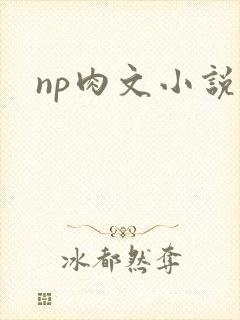 np肉文小说