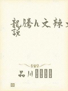 龙腾h文辣文小说