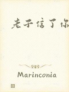 老子信了你的邪