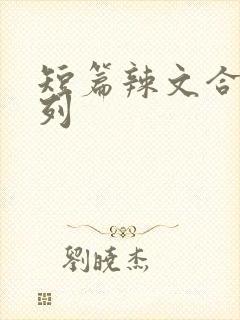 短篇辣文合集系列