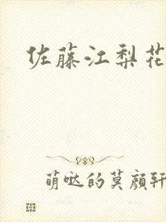 佐藤江梨花
