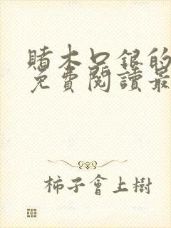 赌木口银的小说免费阅读最新封面