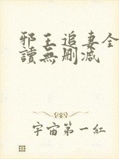 邪王追妻全文阅读无删减