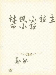 林枫小说主角都市小说封面