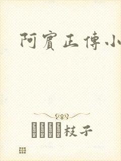 阿宾正传小说封面