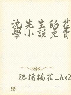 沈先生的花式教学小说免费