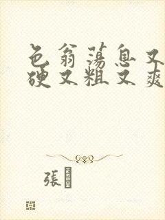 色翁荡息又大又硬又粗又爽