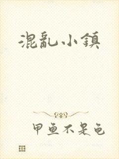混乱小镇封面