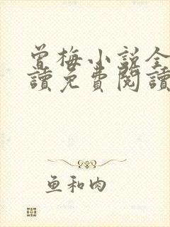 曾梅小说全文阅读免费阅读最新章节