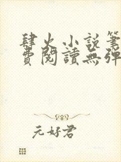 肆火小说笔趣免费阅读无弹窗