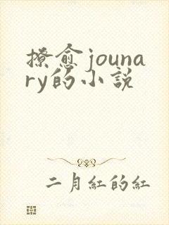 撩愈jounary的小说封面