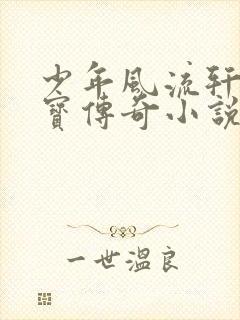 少年风流轩辕大宝传奇小说