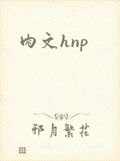 肉文hnp