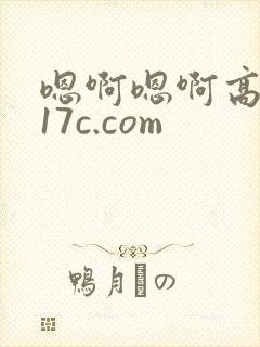 嗯啊嗯啊高h 17c.com封面