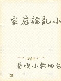家庭论乱小说封面