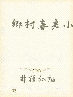 乡村春光小说封面