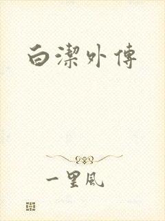 白洁外传封面