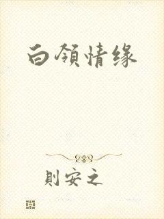 白领情缘