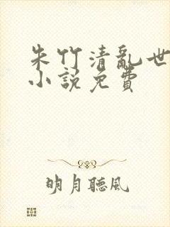 朱竹清乱世浮殇小说免费