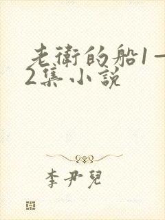 老卫的船1—42集小说