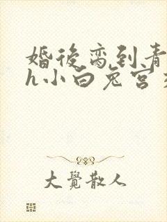 婚后脔到青梅哭h小白兔宫交h