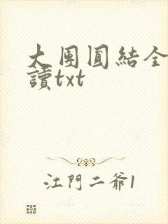 大团圆结全文阅读txt封面