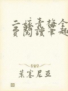 二嫁青梅全文免费阅读笔趣阁