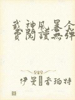 武神风暴全文免费阅读无弹窗笔趣阁