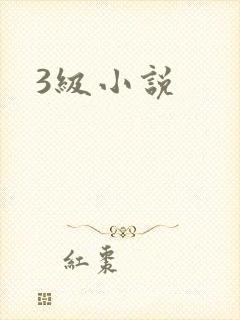 3级小说封面