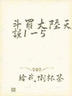 斗罗大陆天狂传说1一5
