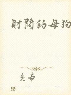 财阀的母狗们