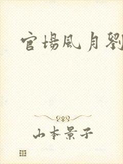 官场风月刘明强封面