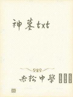 神墓txt