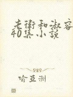 老卫和淑容1-40集小说