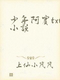 少年阿宾txt小说