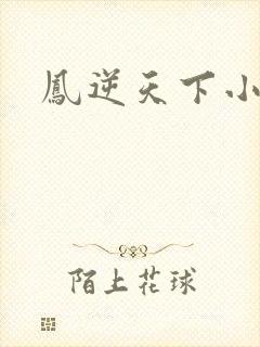 凤逆天下小说
