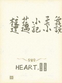 校花小柔舞蹈室遭遇记小说