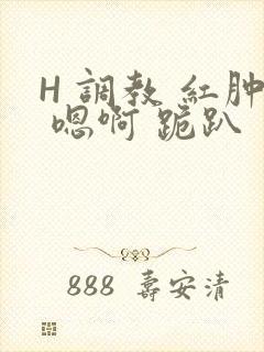 H 调教 红肿 嗯啊 跪趴封面