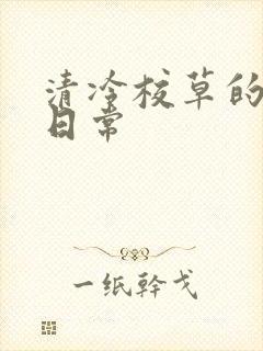 清冷校草的抹布日常