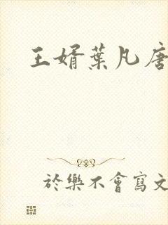 王婿叶凡唐若雪