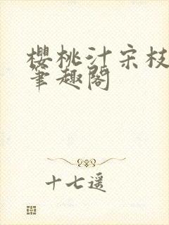 樱桃汁宋枝江野笔趣阁封面