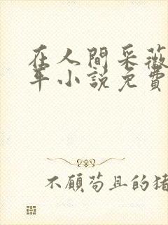 在人间采薇陆三平小说免费阅读