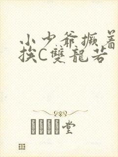 小少爷撅着屁股挨C双龙若