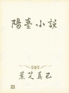 阳台小说