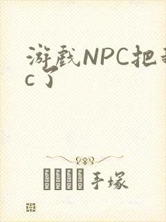 游戏NPC把我c了