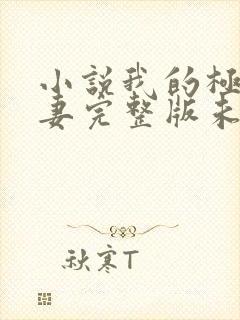 小说我的极品娇妻完整版未删减小说