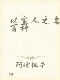 以家人之名百度百科