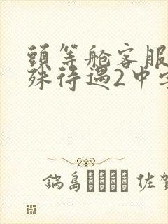 头等舱客服的特殊待遇2中字封面